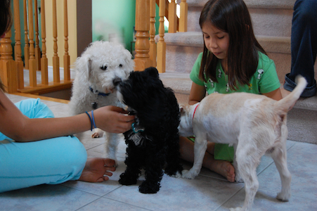Chloe and Mickey