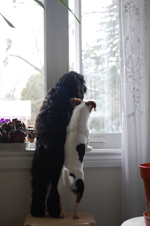 Sharing
