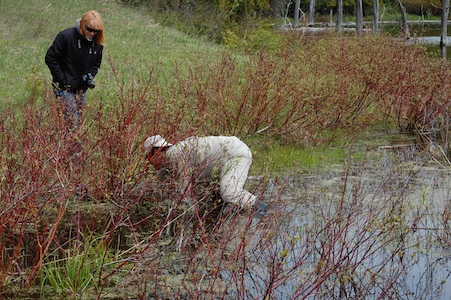 Catching a snake