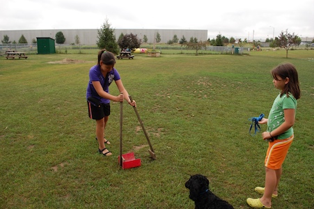 Dog park