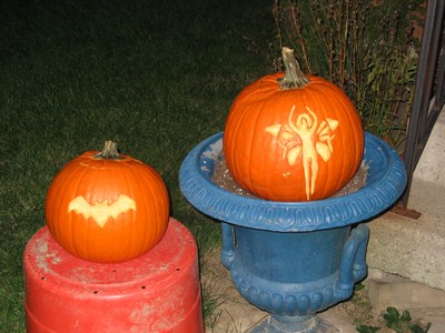 Bat and fairy