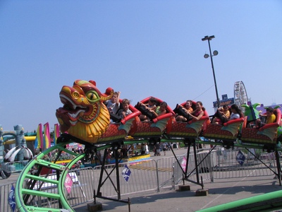 Dragon coaster