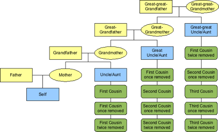 Family Tree