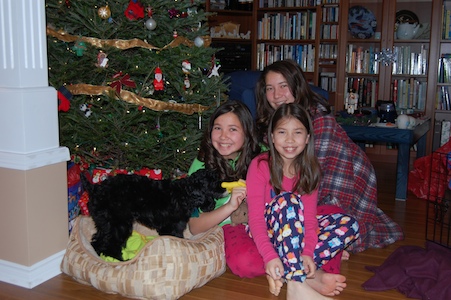 The Girls