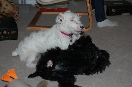 Kiely and Chloe