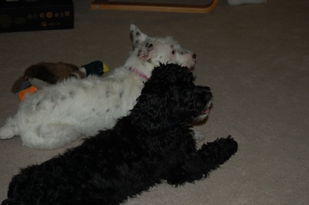 Chloe and Kiely