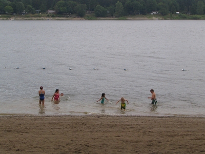 Swimming