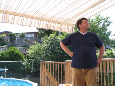 Watching wasps
