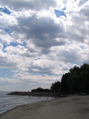 View west