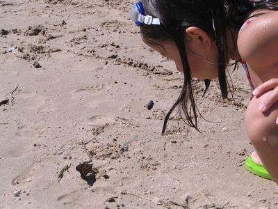 Claudia and butterfly