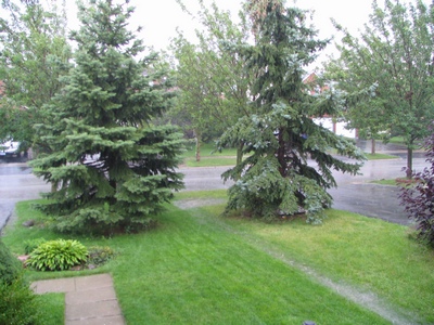 Rain