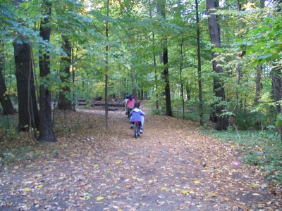 In the forest