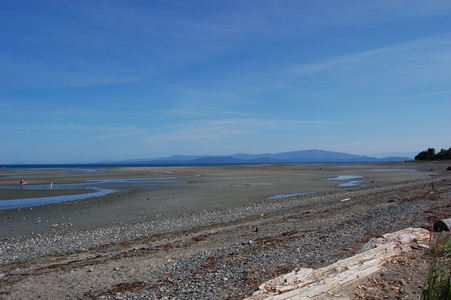 Parksville Beach