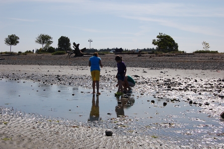 Parksville Beach