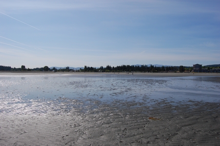 Parksville Beach