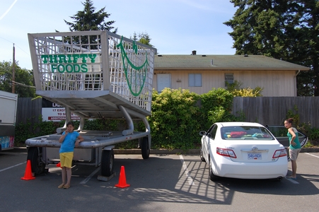 Big shopping cart
