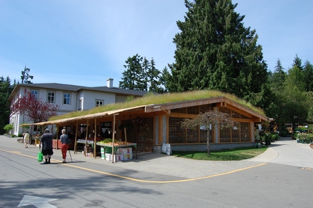 Green roof