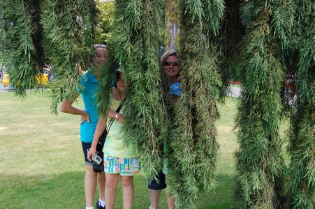 Hiding in the tree