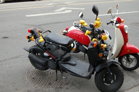 Rubber Duckies
