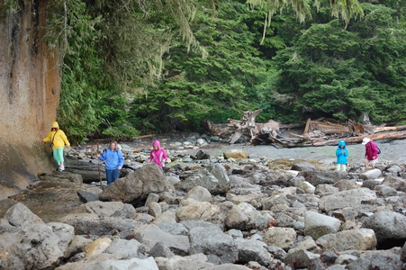 Botanical Beach