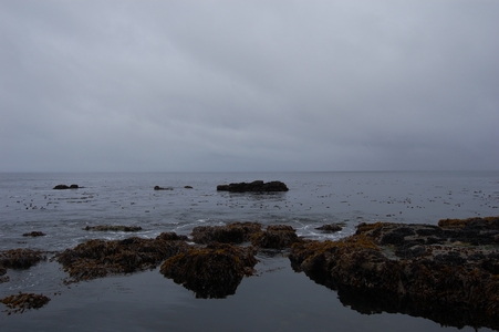 Botanical Beach