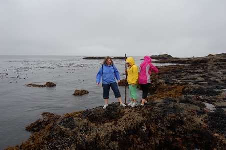 Botanical Beach