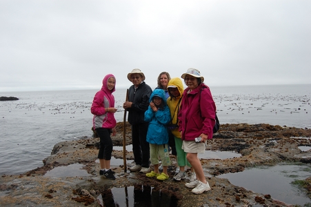 Botanical Beach
