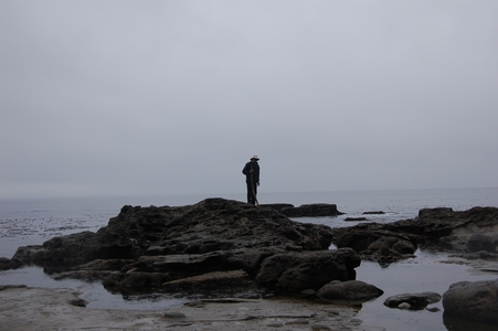 Botanical Beach