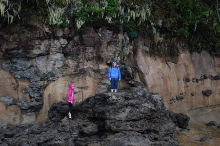 Botanical Beach