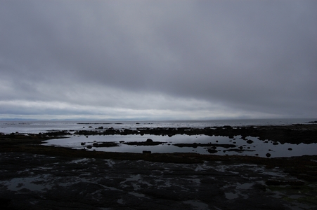 Botanical Beach