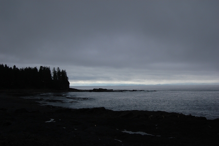 Botanical Beach
