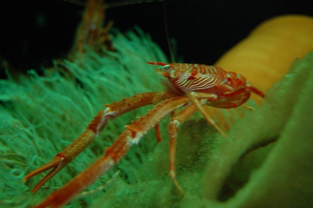 Vancouver Aquarium