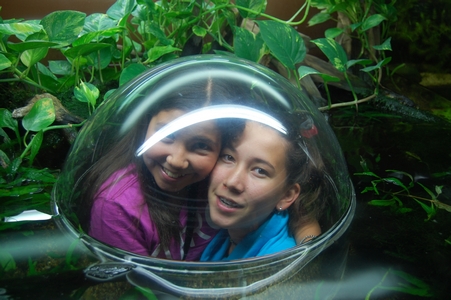 Vancouver Aquarium