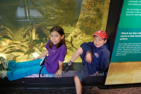 Vancouver Aquarium
