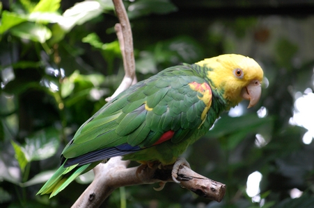 Vancouver Aquarium
