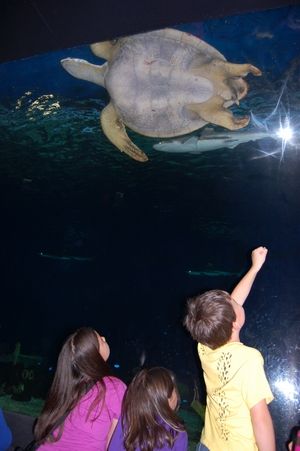 Vancouver Aquarium