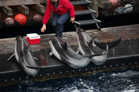 Vancouver Aquarium