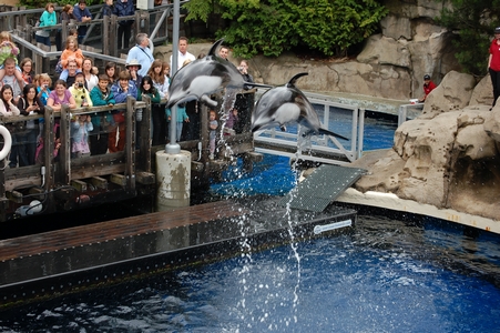 Vancouver Aquarium