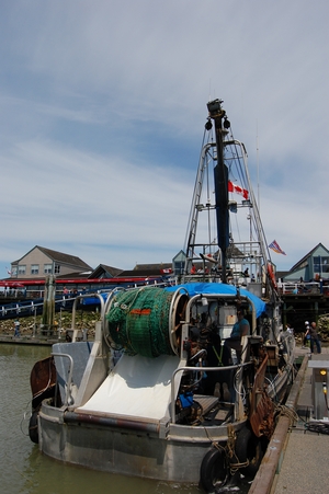 Steveston