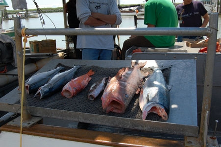 Steveston