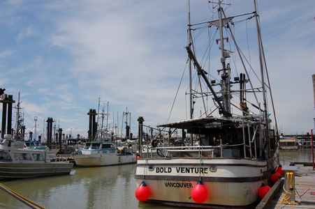 Steveston