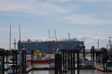Steveston