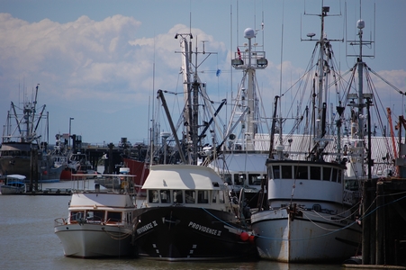 Steveston