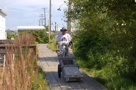 Steveston