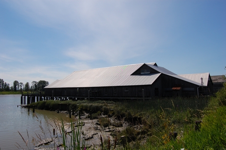 Steveston