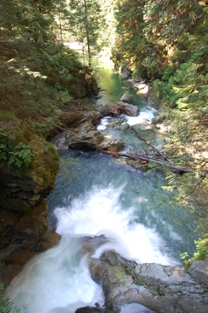 Lynn Canyon
