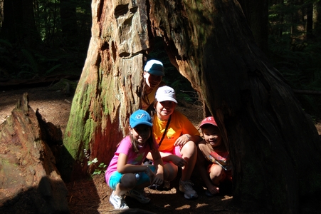 Lynn Canyon