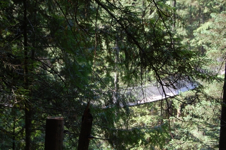 Lynn Canyon