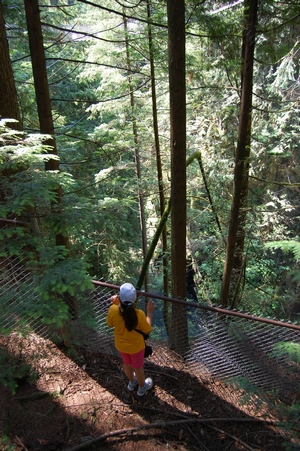 Lynn Canyon
