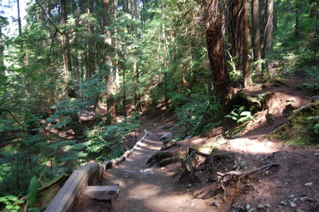 Lynn Canyon